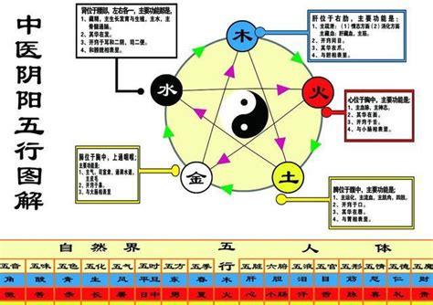 科技五行属什么